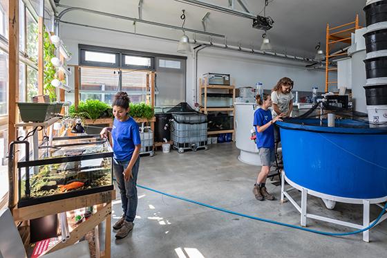 Photo of Chatham University sustainability students working in the aqua文化 lab at Eden Hall Farm, monitoring fish in large and small tanks. 